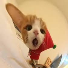 ธีรศิลป์ แดงดา avatar