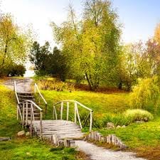 ชาล็อต ออสติน avatar